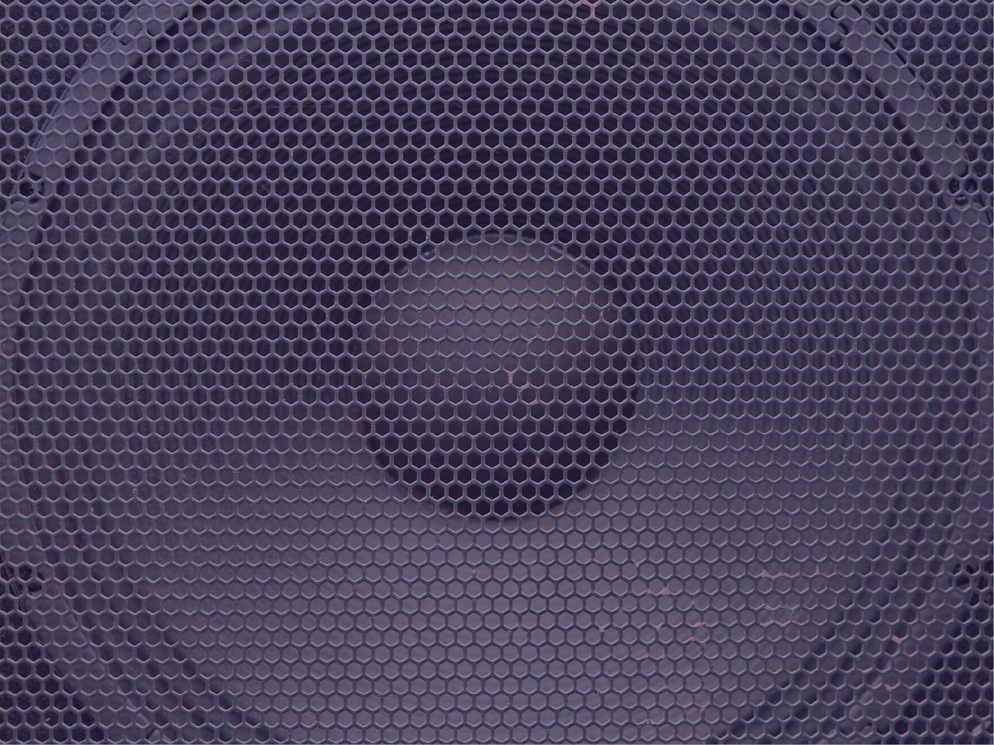 Audio speaker image