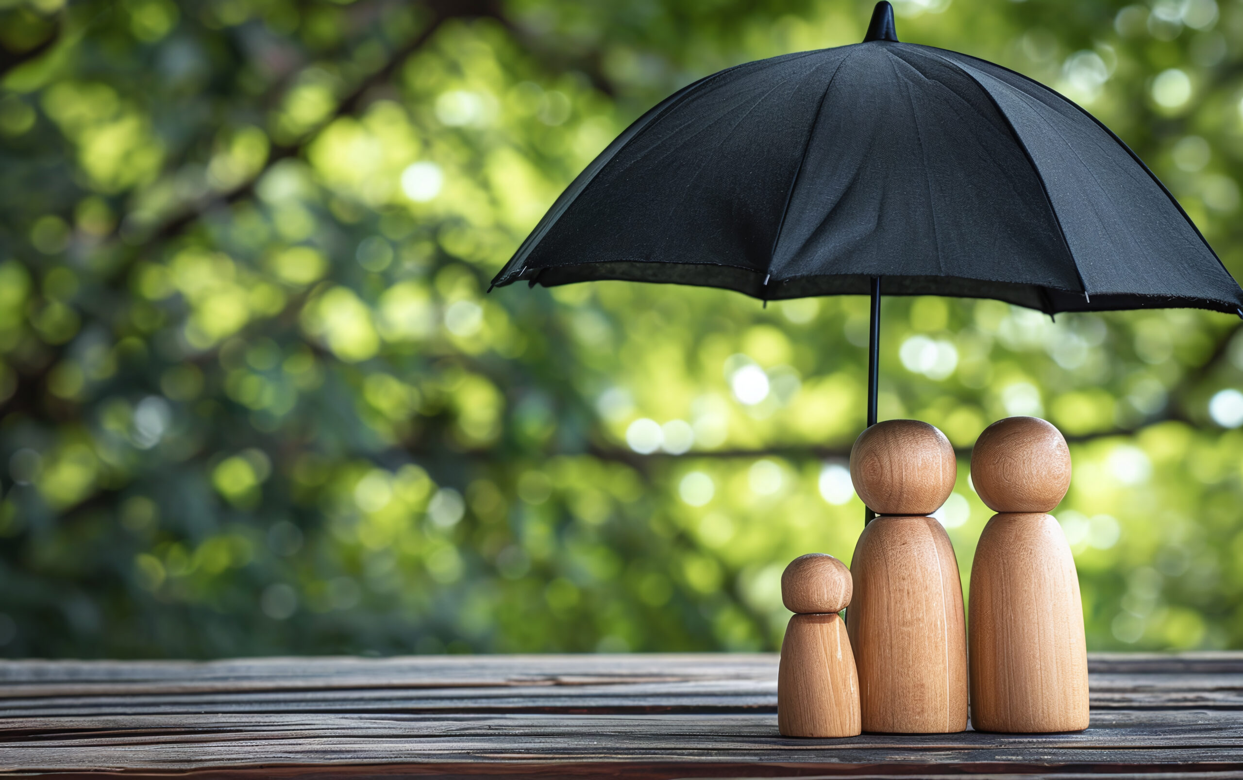 Umbrella insurance Regulatory Priorities
